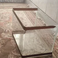 اکواریوم شیشه ایی ماهی|ماهی|کاشان, کارگر|دیوار