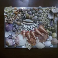 وسایل صدفی|بدلیجات|بندرعباس, |دیوار