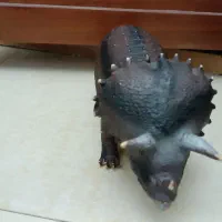 اسباب بازی حیوان خارجی