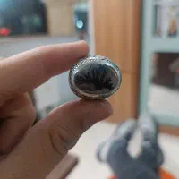 انگشتر شجر قاعن