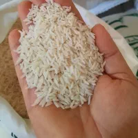 برنج دم‌سیاه ارگانیک شمال خراسان کشت خودمان|خوردنی و آشامیدنی|تهران, باشگاه نفت|دیوار