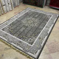 پخش کننده فرش ماشینی ۱۲متری|فرش|فردیس, منظریه|دیوار