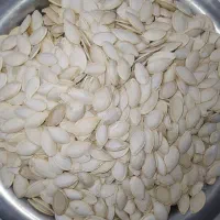 فروش تخمه کدو گوشتی خام