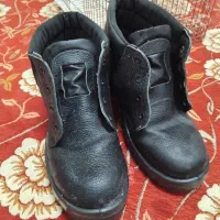 مرغ عشق ویک عدد کفش ایمنی|پرنده|بندر ماهشهر, |دیوار