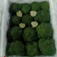 بسته بندی