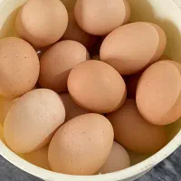 تخم مرغ محلی صد درصد اورگانیک
