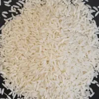 فروش برنج طارم فریدونکنار