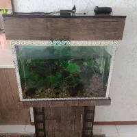 آکواریوم ماهی باتمام وسایل داخل