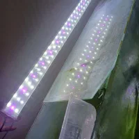 مهتابی اکواریوم