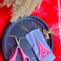 واگذاری مغازه|اجارهٔ مغازه و غرفه|بم, |دیوار