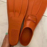 فین شنا