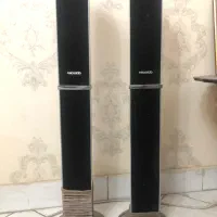 بلند گو ایستاده میکرولب