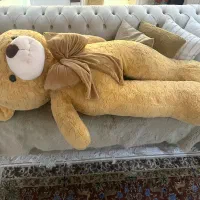 خرس بزرگ