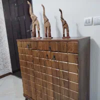جا کفشی