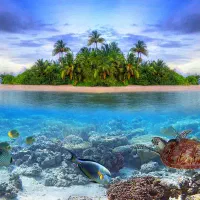 استخدام نیرو  آقا در دفتر  گردشگری و رزروهتل