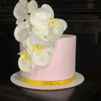 ماکت کیک