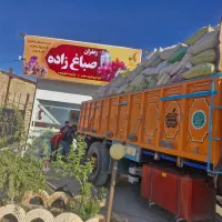 خرید و فروش پیاز زعفران صباغ زاده