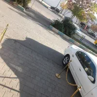 سالندار نظافت چی رستوران