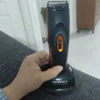 ریش تراش پرنسلی