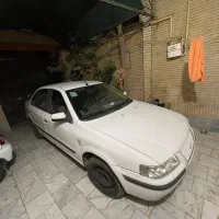سمند سفید