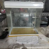 آکواریوم شیشه خم شرکتی