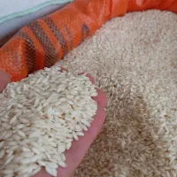 برنج هاشمی  و طارم  عطری و خوش پخت|خوردنی و آشامیدنی|حویق, |دیوار