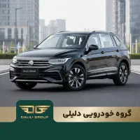 تیگوان/ گروه خودرویی دلیلی