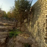 فروش باغ ۲۴۰۰ متر دیوارکشی شده در قهجاورستان|فروش خانه و ویلا|اصفهان, قهجاورستان|دیوار