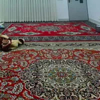 فرش۱۲متری ۰۱۶
