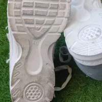 کفش|کیف، کفش، کمربند|بروجن, |دیوار