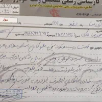 تیبا دو ۹۷|خودرو سواری و وانت|شیراز, غدیر شمالی|دیوار