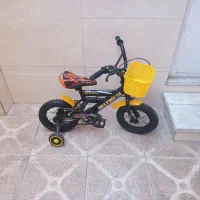 دوچرخه ۱۲ عروسک