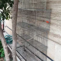 قفس پرون بزرگ