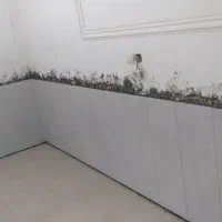 استا سرامیک و کاشی کاری|خدمات پیشه و مهارت|خرمشهر, |دیوار