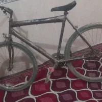 شادگان