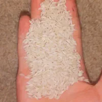 برنج عنبربو شوشتر ارگانیک و خوشبو  حسام آباد