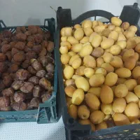 خارک و رطب