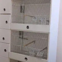 قفس پی وی سی