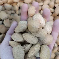 بادام  امسالی شیرین