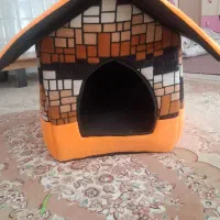 سگ نژاد شیتزو و یورکشایرتریر،|سگ|شهرضا, |دیوار