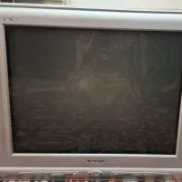 تلویزیون