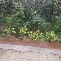 اجاره خانه ویلایی املش رانکوه