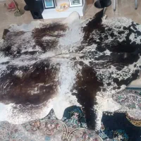 فرش تزیینی پوست گاو هلندی طبیعی