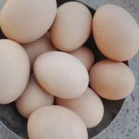 تخم مرغ طبیعی