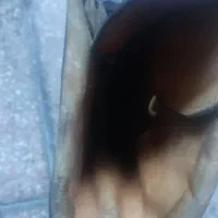 پوتین خارجی|کیف، کفش، کمربند|بیرجند, |دیوار