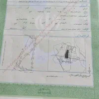 فروش ویژه زمین باغ اقساط12ماه سندتک برگ شاهین‌شهر|فروش زمین و ملک کلنگی|اصفهان, دشتستان|دیوار