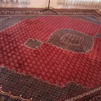 دوتا فرش کرم دو تا ریز ماهی|فرش|کرمانشاه, |دیوار