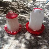 آبخوری و دانخوری