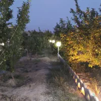 فروش باغ 500متری علیشاهدان|فروش خانه و ویلا|پیر بکران, |دیوار