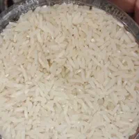 برنج طارم هاشمی محدود
